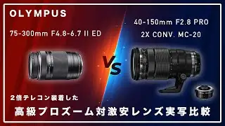 写りはほぼ同じ!? 激安レンズ VS. (2倍テレコン付けた)高級プロズーム実写テスト ー OLYMPUS 75-300mm 対 40-150mm F2.8 PRO / MC-20 編ー