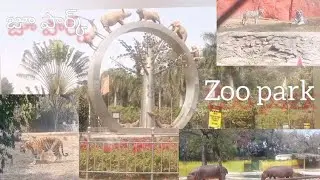 Zoo park | జూ పార్క్  part1 |@LAVANYAVLOGS-i8b 