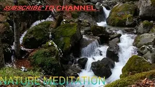 Forest 4k.Nature Relaxation film.Peaceful Relaxing Music|| 4K Ultra HD Video|| Meditation Music