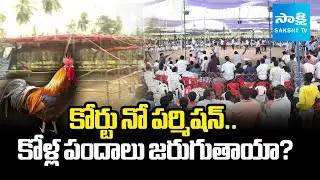 VIP, VVIP Barulu Ready For Bettings For Sankranti In East Godavari | CM Chandrababu | @SakshiTV