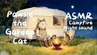 ASMR for Focus, Study, Relax, Sleep l Gentle Crackling Fire & Night Ambience