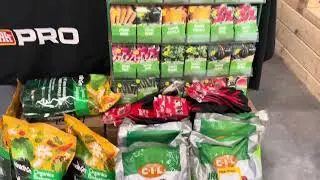 Seedy Sunday!
