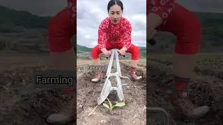 Amazing Seedlings Planting Tool for Rural Farmers | Useful Agricultural Tools #shorts #tools