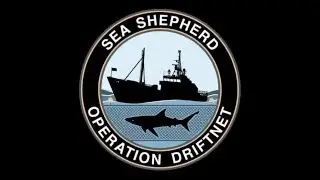 Operaci&oacute;n Driftnet: Empieza la persecuci&oacute;n