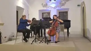 IL Suono Music Agency - Sydney, Cello
