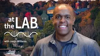 At the Lab Ep. 4: DNA sequencing for all