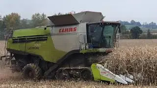 18-10-2020 Crimped Maize UK and Cowick Farm Partnership. Claas Lexion 770 cutting Maize.