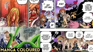 Hawkins after battle is over said i already predicted who would win || king and queen is still alive
