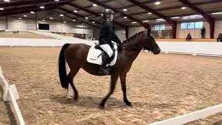 Elin dressyrdebut Lätt C:1 KM 16 november 2025 med Twister 
