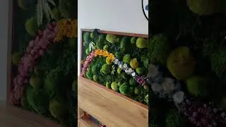 Summer Edition Moss art + led Modern. Real Moss. Chartreuse green Moss Wall .Botanical Art. #shorts
