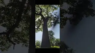 SPIRIT ACTIVITY  ( PART 1 OF 3 )