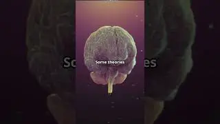 The Mystery of Consciousness  Science vs Philosophy 🧠 🪐