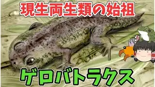 カエルとイモリのご先祖様「ゲロバトラクス」【サクッと古代生物解説シリーズ】【ゲロマツ登場】