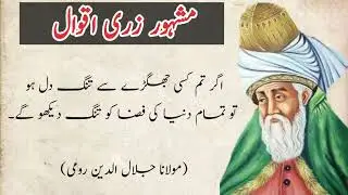 Jo Shakhas Esharah Ko Bakhobi Samajh Jae ( Mashhar Zareen Aqwal . ( Molana Jamalu Din Roomi )