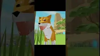 Впервые в польском зоопарке. Симулятор животных, геймплей Zoo tropica на Roblox.