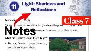 Class 7 Science Curiosity Chapter 11 | Light: Shadows and Reflection | Full Chapter Notes