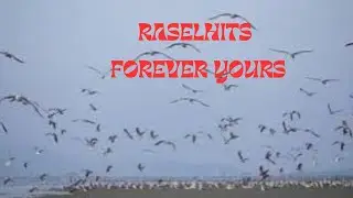 RASELHITS - .FOREVER YOURS - TRADUÇÃO