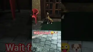 kutta naraj hai #dogvideos #trending #funny #viral #ytshorts #the nature naman