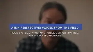 Stef de Haan, A4NH Country Coordinator, Vietnam