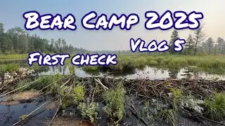 Bear Camp 2025 First Check