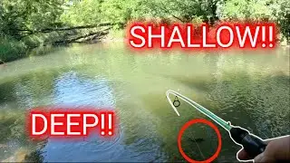 Fishing DEEP HOLES in a SHALLOW CREEK!