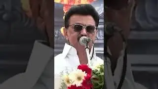 tamil Nadu CM mk stalin recent about pongal / dmk whatapp status