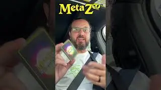 Can MetaZoo fail twice?
