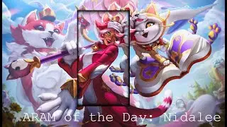 Another Day of ARAM: Nidalee, Kittalee (Premade)