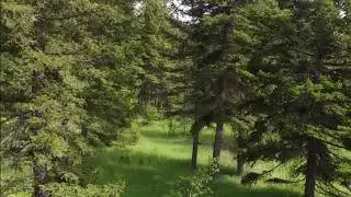 347 Blackstock100 Mile House, BC
