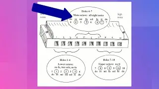 Harmonicas for Health (part 4): Basic Harmonica Songs
