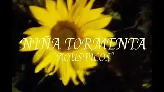Ni&ntilde;a Tormenta 