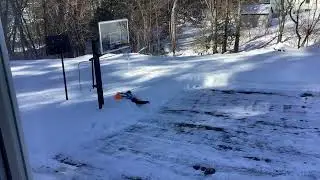 Trying to get a ball in winter 