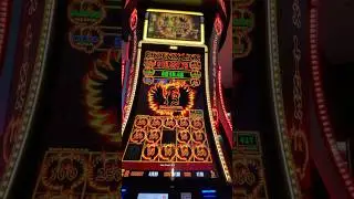 #phoenixlink #slotmachine #bigwin #casino #lasvegas #gambling