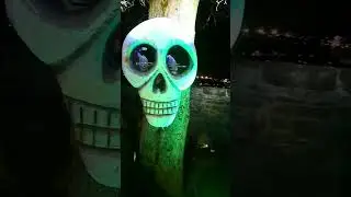 Derry Halloween Festival 2024 🎃🎃🎃