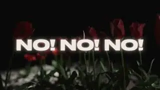 Mda, Beauty Pikete + xoXo (Video Lyrics)