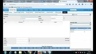 Hq Truebooks Credit and Debit note entries