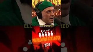 Elon's Terrified of Population Collapse