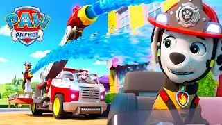 حريق في حفلة الشواء! فريق الإنقاذ الجديد ينقذ الموقف | الدوريات الصغيره | Paw Patrol Arabic | تجميع