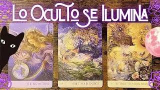 11.11✨Lo OCULTO se ILUMINA✨Tus GUÍAS te lo REVELAN🔮💜 Tarot Interactivo🔮 Elige una carta