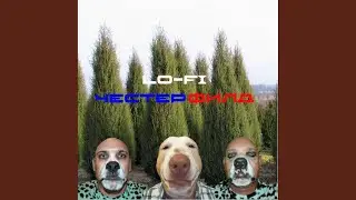 Шклуц кларик