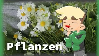 Ein Tag im Garten - Project Butterfly 1/4