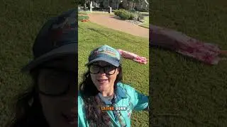 Is This the Coolest Yard Ever? Sprinkler Valve Repair Collin County TX 👻