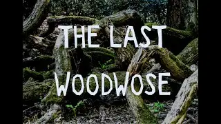 THE LAST WOODWOSE TRAILER