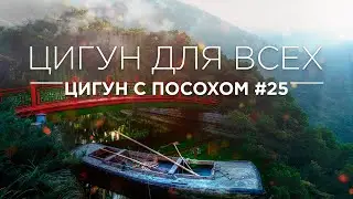 ЦИГУН ДЛЯ ВСЕХ - ЦИГУН С ПОСОХОМ #25