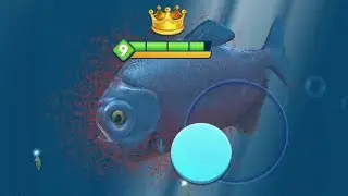 Mobile game:Fish Eater 👑🦈🍽️/1/Gaming...@FishgamesFishDom24 ... introduction#actiongame