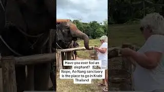 🐘 Elephant Sanctuary Ao Nang Krabi 🇹🇭 | Ethical Encounters with Gentle Giants 🌿