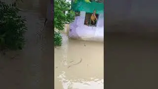 Yerkheda kamptee | badh se pura Pani bhar Gaya gharon mein | nagpur Maharashtra | kamptee