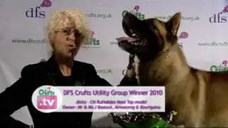 DFS Crufts 2010 Utility Group Winner