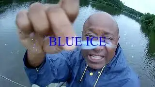 💥💥Cam's Crappie Hole VERTICAL JIGGING WITH MY HOTTEST NEW COLOR   BLUE ICE   CAM'S STINGER SHAD 💥💥