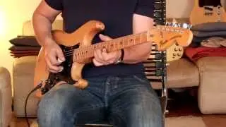 1977 Fender Stratocaster, natural, hardtail Part2